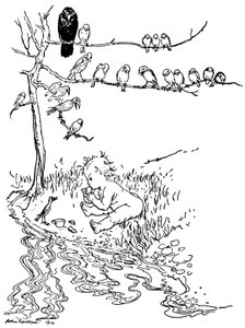 Illustration pour Peter Pan - Arthur Rackham