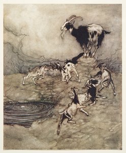 Les sept chevreaux et leur mère gambadèrent et dansèrent autour de la source de joie, des Contes de fées des frères Grimm, pub. 1909 - Arthur Rackham