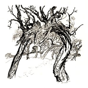 Arbres chuchotants, de A Dish of Apples - Arthur Rackham