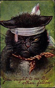 Chat, tu devrais voir l