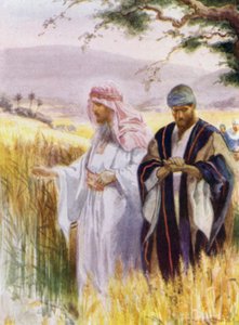 Jésus et ses disciples dans le champ de blé