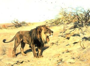 Un lion parmi les broussailles - Arthur Wardle