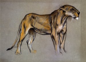 Une lionne, c.1900