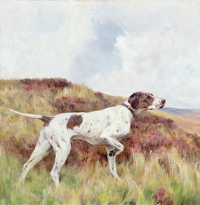 Un pointeur - Arthur Wardle