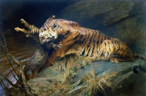 Tigre et crocodile