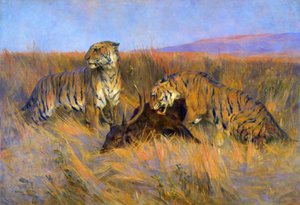 Tigres à la chasse