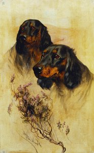 Deux Setters Gordon - Arthur Wardle