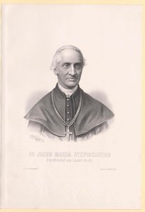 Jakob Maximilian Stepischnegg - Artist Unknown
