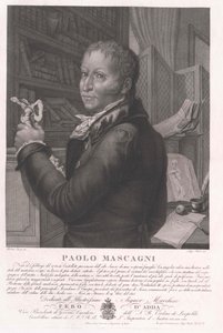 Paolo Mascagni - Artist Unknown
