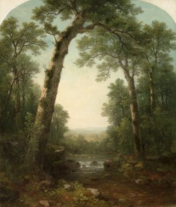 Ruisseau de Forêt avec Vue