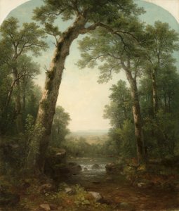 Ruisseau forestier avec vue