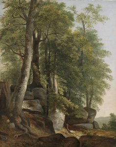 Paysage avec rochers et arbres, vers 1845 - Asher Brown Durand