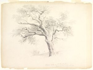 Le chêne à gros fruits sur le domaine Hosack, Hyde Park, New York avec cinq personnages et un artiste dessinant, 1838 - Asher Brown Durand