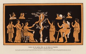 Héraclès volant les pommes d