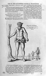 Géants antédiluviens, 1678