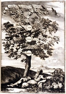 Arbre généalogique de Noé d