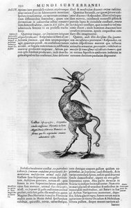 Créatures Mythiques - Athanasius Kircher