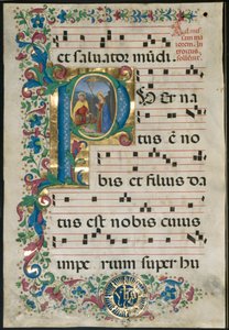 Feuille d