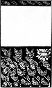 Conception de couverture de Nobody