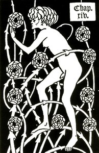 Hermaphrodite parmi les roses de Le morte d