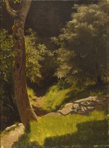 Paysage de parc avec chemin de jardin