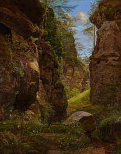 Gorge rocheuse dans le Uttewalder Grund en Suisse saxonne