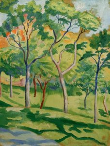 Arbres dans le pré