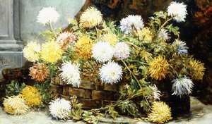 Chrysanthèmes dans un panier