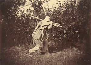 Paysan, c. 1870 (photo)