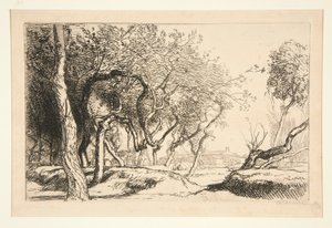 Les arbres tordus (Saint-Jean-de-Monts) - Auguste Lepere