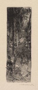 Forêt de Fontainebleau: Abattage des pins