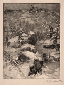 Roche Cuvier Chatillon - Auguste Louis Lepère