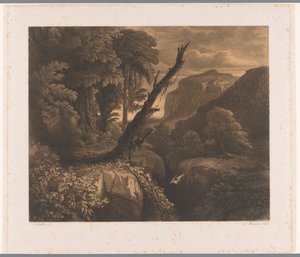 Paysage de montagne avec un oiseau volant à travers un ravin (Dix eaux-fortes par A. Numans) (Visions par Auguste Numans d