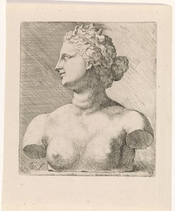 Buste de Vénus de Médicis, de profil vers la gauche