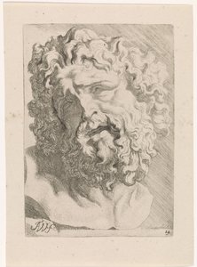Tête de Laocoon