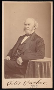 Portrait de Peter Parker 1804-1888, 1869 - Augustus Marshall