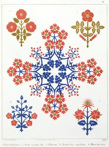 Motif de papier peint avec violette, iris et tulipe, imprimé par M. et N. Hanhart