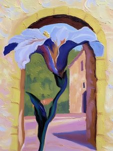 Vue sur les iris de Sunny Archway