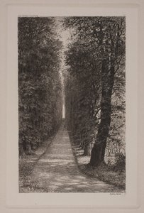 Danois : Sukkenes allé - Axel Holm