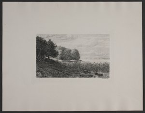 Danois : Ved Esrum sø