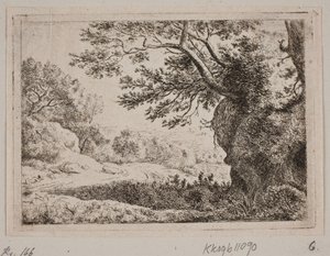 Paysage rocheux
