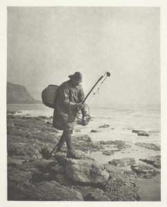 Pêche aux crevettes