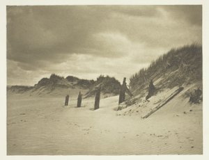 Dunes de sable - B. Gay Wilkinson