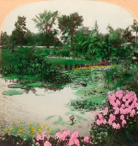 Étang aux nénuphars, Tower Grove Park, St. Louis, Mo., U.S.A., 1897