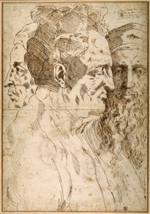 Trois têtes masculines juxtaposées - Baccio Bandinelli