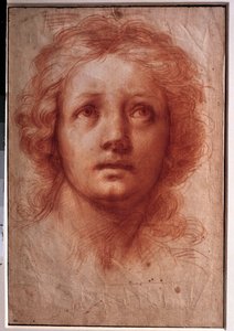 Étude de tête de femme, le regard fixe tourné vers le haut. Dessin à l