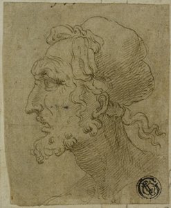 Tête masculine de profil - Baldassare Peruzzi