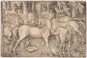 Groupe de sept chevaux