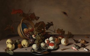 Nature morte de fruits avec panier en osier, moules et papillon, première moitié du 17ème siècle - Balthasar van der Ast