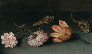 Œillets, une tulipe perroquet, une sauterelle et un lézard sur un rebord